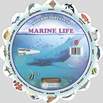 Marine life ( ).   