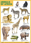 Animals of Africa ( ).    