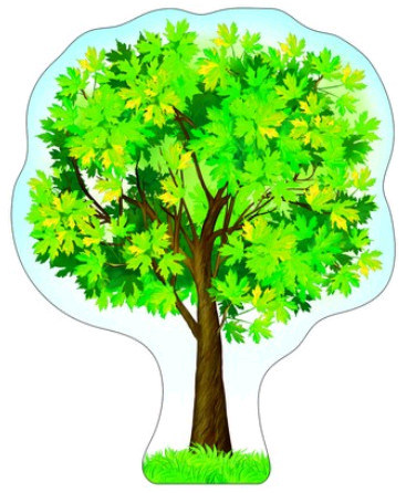 Дерево Клен, кленовые листья