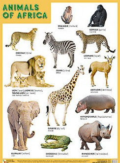 Animals of Africa ( ).    