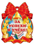 Школьная медаль «За успехи в учебе!» 