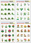 Мир растений. Комплект дидактических карточек
