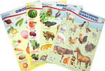 Комплект познавательных мини-плакатов "Окружающий мир. Животные и растения". 4 плаката