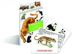 Животные Азии. Дидактические карточки для детей