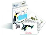 Животные Арктики и Антарктики. Дидактические карточки для детей