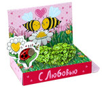 Пчелки. Живая открытка коллекции "С любовью!"