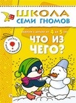 Что из чего? Книга серии Школа Семи Гномов (4-5 года)
