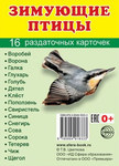 Зимующие птицы. 16 раздаточных карточек. Подписи на русском и английском с транскрипцией