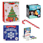 Подарочный набор №15 на Новый Год для ребенка 6-10 лет (в подарочном пакете)