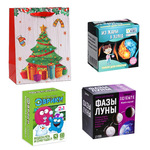 Подарочный набор №6 на Новый Год для ребенка 5-12 лет (в подарочном пакете)