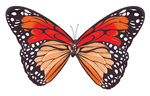 Бабочка. Вид 2. Фигурный элемент для украшения