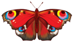 Бабочка. Вид 5. Фигурный элемент для украшения